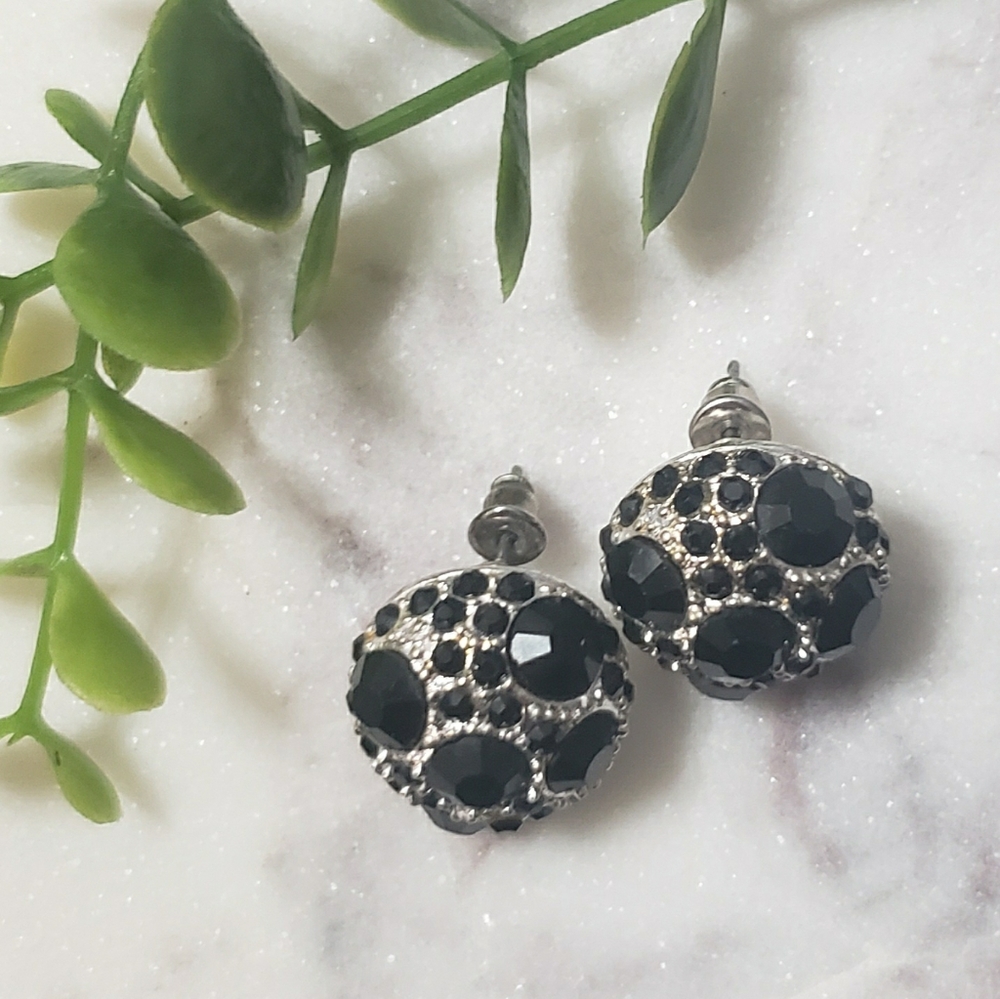 Silver and Black Stud Earrings